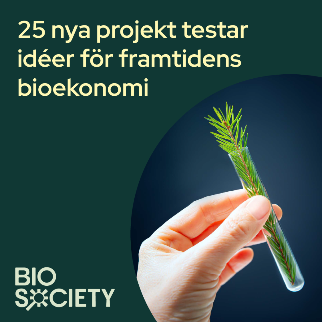 Provrör med grankvist. Biosocietys logga.