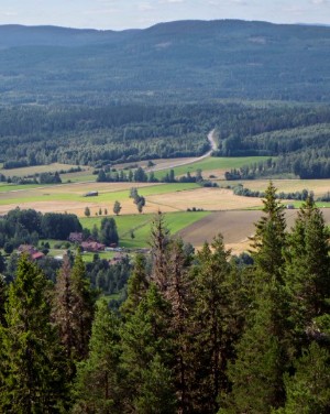 Biosociety: Fossilfri och resilient biobaserad produktion