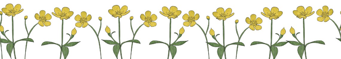 Smörblommor